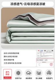 Home Hodo | Cooling Silk Air Conditioning Quilt Set