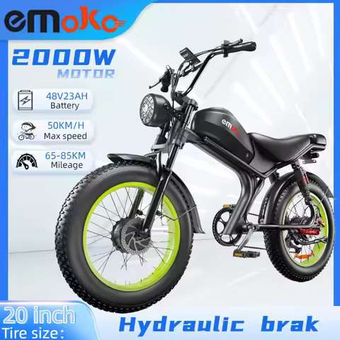 Adult Electric bicycle C93 2000w dual motor 48V23AH battery Electric bike 20 inch fat tire mountain 