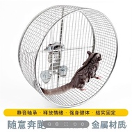 304 Stainless Steel Sugar Glider Running Wheel Squirrel Wheel Hamster Wheel Parrot Wheel Hedgehog Wh