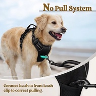 Ready Stock| Dog Leash Pet Supplies Factory