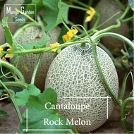 Rock Melon Seeds - 10 Seed *Pot Friendly* Cantaloupe, Sweet Melon - Mango Garden