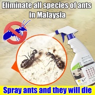 WR Spray semut Racun semut berkesan Ant killer spray Ubat semut Spray semut organik Ubat semut berke