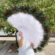 Hall Decoration Fan Dance Guest Number Feather Fan Wind Folding Fan Twin Wall Hanging Ancient Surfac