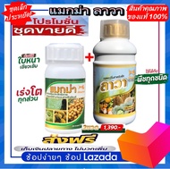 แมกม่า& ปุ๋ยลาวา Maxma-Lawa (ชุดเล็ก) 2 ขวด สารจับใบแมกม่า บรรจุ 250 cc. และ ปุ๋ยน้ำลาวา บรรจุ 500 c
