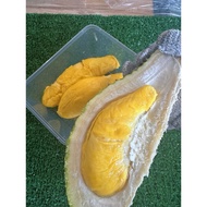 PAHANG   Musang king