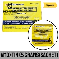 Sagupaan Amoxtin 5g (1 SACHET)