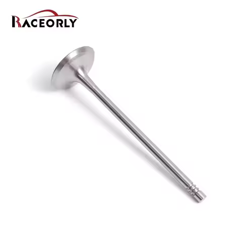RACEORLY Intake Valve Set For BMW 328i 520i X3 F10 F22 F30 E84 E89 N20 2.0