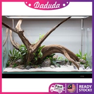 Driftwood (L 27-46cm) Random Shape for Terrarium , Fish Tank Aquarium , Air Plant Landscaping Aquascape