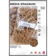 Media Spagnum Moss - Media Tanam Anggrek Moss Putih