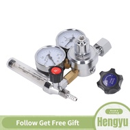 Hengyu Nitrogen Gas Regulator Valve Meter Gauge For Laboratory FEI