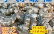 【好美 - 頂級手剝靈芝蝦仁150g】在文蛤生態池養殖的產銷履歷白蝦！