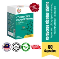 GKB Cordyceps Cicadae (60s) | Eye Supplement Eye Supplement for Vision