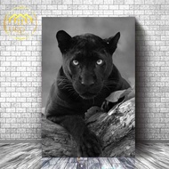 WOODEN TIGER BEETLE POSTER - TIGER BEETLE ANIMAL POSTER - WALL DECORATION - HOME DECORATION - SIZE 2