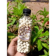 (Wholesale) 1 bottle of 200g soybean sprout capsules with Skin Whitening milk flavor