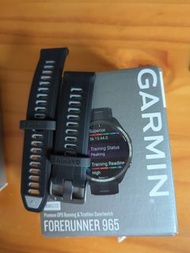 Garmin 22mm 錶帶