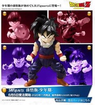 魂商店限定 S.H.Figuarts SHF 七龍珠 孫悟飯 少年期 代理