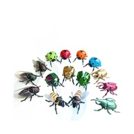 Winding Beetle Beetle Beetle Beetle Clockwork Insect Model Crawling Toy Children's Cognitive Toy Shi