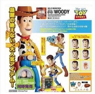 {Archer} 日版海洋堂 山口式  玩具總動員 胡迪 淫賊 猥褻