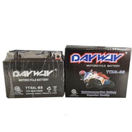 4L Dayway Battery Original