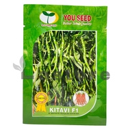 BENIH CABE CABAI KERITING KITAVI F1 ISI 10 GRAM YOU SEED - ARKATAMA SHOP5