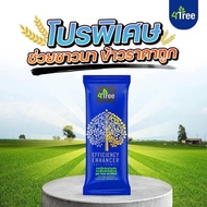[2แถม1] 4tree ของแท้ E-tax E-receipt บูสเตอร์+โฟร์ทรี A4S สารเพิ่มประสิทธิภาพการเจริญเติบโตพืช จุลิน