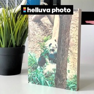 [SG 1-3 DAYS] Photo Print On Real Natural Wood Block, 4x4", 4x6", 5x5", 5x7", 8x8", 8x10" by Helluva