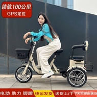 Dannek Electric Tricycle Elderly Scooter Adult Small Transport Children