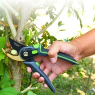 Gardening Pruning Shears Stainless Steel Scissors Grafting Fruit Branches Flower Trimming Tools Home