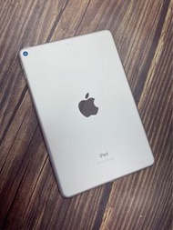 iPad mini 5 wifi 64g