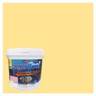 สีน้ำทาภายนอก ชนิดกึ่งเงา BEGERCOOL DIAMONDSHIELD 10 088-4 สี TEQUILA SUNRISE 9 ลิตร (1178345)