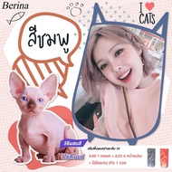 Set Berina เบอริน่า เซตสีผม สีชมพู ( A38 / A23 ) น่ารัก สดใส