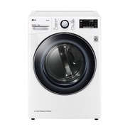 【LG 樂金】10公斤免曬衣乾衣機WR-100VW