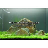Chicken LIVER STONE AQUARIUM SETUP - BEAUTIFUL TEXTURE CAN BE CURRENT