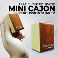 Mini Cajon Shaker Percussion Educational Musical Instrument