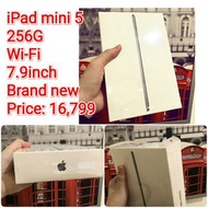 iPad mini5 256G