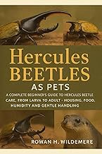 Hercules Beetles as Pets: A Complete Beginner’s Guide to Hercules Beetle Care, From Larva to Adult –