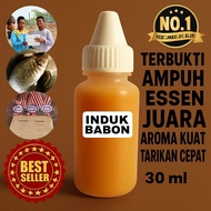 Essen Ikan Mas Indukan Babon Gacor Anti Boncos Paling Ampuh