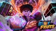 0- max level $100 Roblox Blox fruit 代練 代打