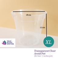 Transparent Clear Aroid Pot (XL Size / 7 inches pot) (Diameter 18cm / Height 17cm)