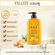 ของแท้ 100% FILLIZI แชมพูเร่งผมยาว ยาสระผมแก้ร่วง Hair loss shampoo ยับยั้งรังแค แชมพูลดผมร่วง แชมพู