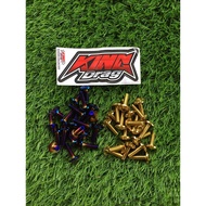 REAR FENDER SCREW M6 25MM TITANIUM/GOLD KINGDRAG (SEBIJI)