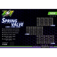 SPRING VALVE Y15 ESR