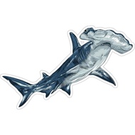 Hammerhead Shark Sticker 4 Inch Ocean Marine Animal - Waterproof Vinyl Decal for Laptop Water Bottle