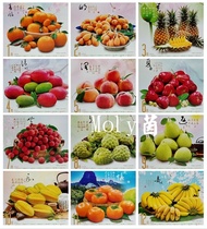 板橋土城中和可自取 2024年水果月曆 台灣水果月曆 2024水果月曆 113年水果月曆 113水果月曆