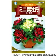 ウタネ　花の種/種子　ミニ葉牡丹　ミックス　種　（追跡可能メール便発送　全国一律370円）30843