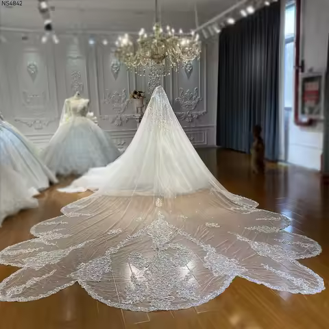 NS4842 Luxury Beading Lace Veil 500cm long