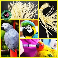 Bird feeding tube /bird tube