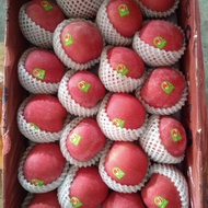 buah apel premium quality fuji merah 1 dus