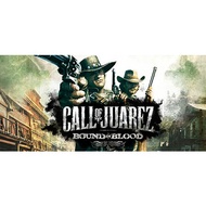 (PC) Call of Juarez: Bound in Blood [Digital Download]