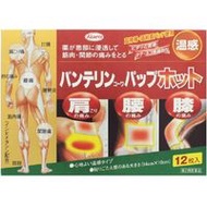 [第2類醫藥品] Vantelin Kowa 退燒貼片 12片